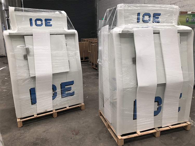 Gas Station Ice Cooler Upright Solid Door Freezer Ice Storage Bin