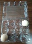 Clear transparent plastic tray for eggs