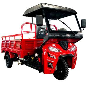 Quality DAYANG 200cc Water Cooled Tricycle with Front and Rear Drum Brake Cylinder Engine wholesale