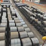 Prepainted Galvanized Hot Rolled Coil Plate / S235JR Steel Plate