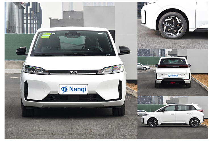 BYD D1 Electric Car MPV Multi Purpose Vehicle Accelerate Quickly Long Endurance