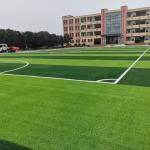 40mm Green Artificial Turf Grass Pet Friendly Customizable