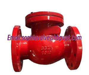 Quality DIN standard GG25 metal seal check valve wholesale