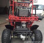 250cc Water-Cooled Chain Drive Go Kart With EEC / COC
