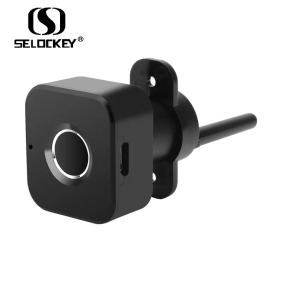 Quality Zinc Alloy Smart Keyless Fingerprint Cabinet Lock wholesale