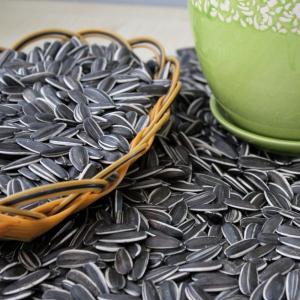 Quality Highly Nutritious Sunflower Seeds 3668 The Perfect Fit wholesale