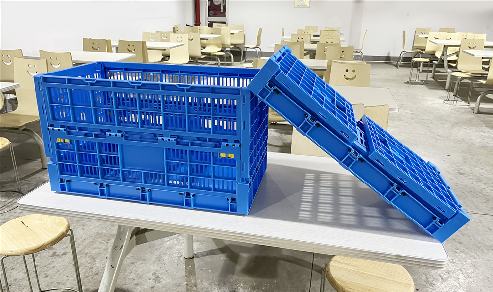 Foldable and Collapsible Egg Crate Meshy Box for Convenient Egg Transportation Solutions