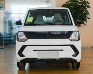 Quality CLTC 180km Mini Electric SUV FENGON New Energy Dongfeng EV Cars wholesale