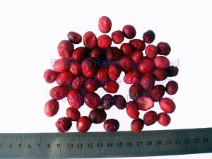 Quality Healthy snack food dried fruit freeze dried cranberry with free sample wholesale