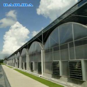 Quality Agricultural Flowers Shading Multi Span Hot Dipped Galvanized Polycarbonate Greenhouse wholesale