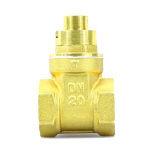 Quality 6 Inch Sluice Gate Valve PN40 Bellow Seal Gate Valve Brass Magnetic Lock DN20 wholesale