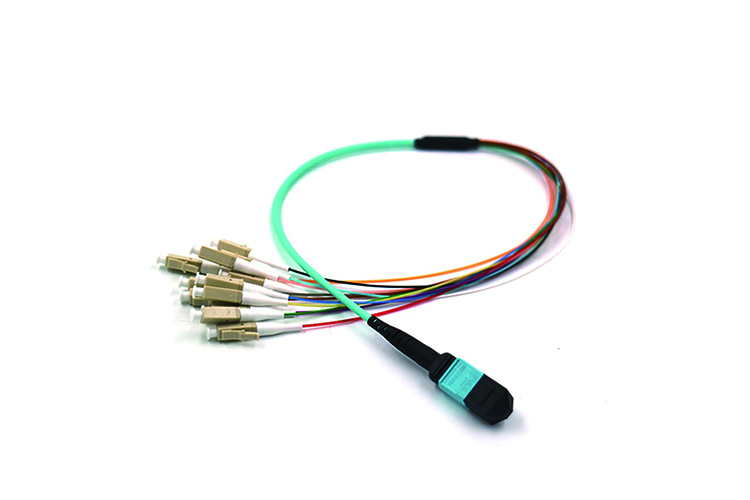 24 Core MPO To MPO Fiber Cable 40 Gb Multimode Fiber Optic Patch Cord