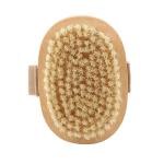 Dry Exfoliating Silicone Back Bamboo Shower Brush Wooden