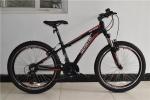 Made in China CE standard 24 inch alumimium alloy 21 speed mountain bike/bicycle