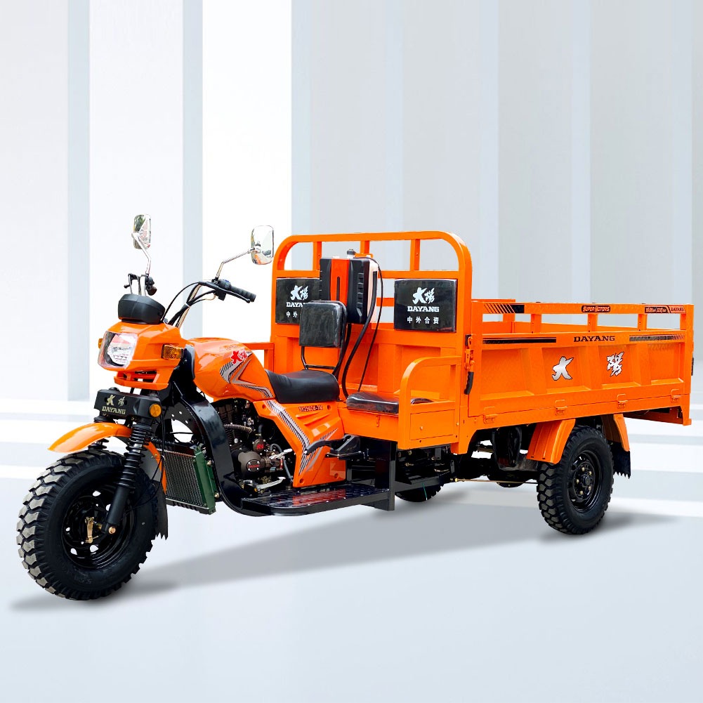Orange 800W Motorized Tricycles for Heavy Duty Three Wheels Motorcycles from Dayang