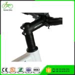 36V Voltage Brushless Motor Chainless Electric Bike 2019 with Shaft Drive and