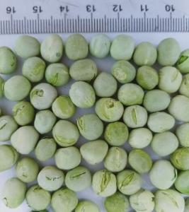 Quality Moisture Max 8% Dehydrated Green Peas wholesale