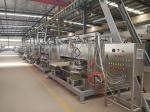 Coated Peanut Roaster Flat and Rotary Roaster Swing Roaster 100 kg/h capacity