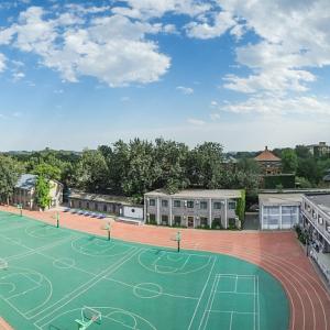Quality IAAF Approved Slip Resistance Sandwich System Running Track Fadeless wholesale
