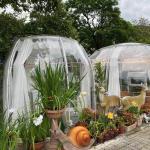 Transparent Igloo Dome Tents Lodge Party Rental Room Clear Dome Tent House