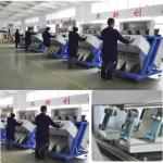 Coffee Beans Color Sorting Machine
