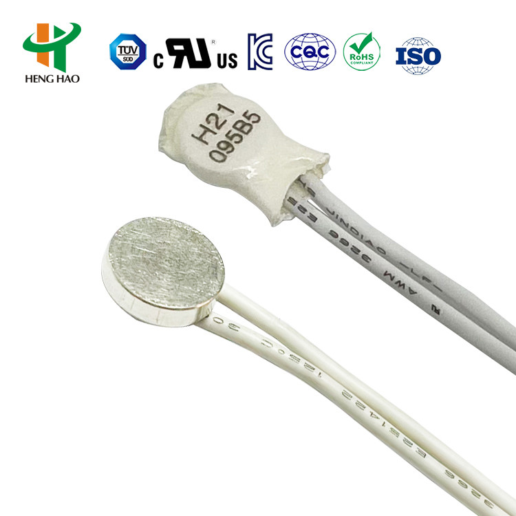 S01 Thermostat ST01 Temperature Protector ST05 Thermal Fuse Auto Reset Thermal Fuse