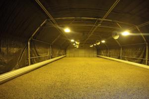 Quality Wind Resistance Light Deprivation Greenhouse Easy installation Square Pipe Size 60*40mm wholesale