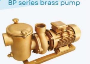 Quality BP30 Swimming Pool Water Pumps For Swimming Pool wholesale