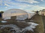 Hot Dip Galvanized Polyethylene Film Greenhouse Agricultural Anti Drip