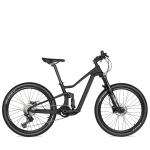 24 Inch Teenager Carbon Mountain Bike W/Shimano 10Speed Full Suspension Bike