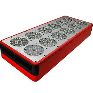 Quality 540w High PAR value agriculture vegetable growing lighting wholesale