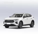 HAVAL Chitu Large Off Road Petrol Vehicle TPMS and Electric Steering System for
