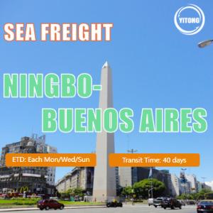 Quality DDP DDU International Sea Freight Logistics From Ningbo To Buenos Aires Argentina wholesale