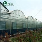 Multi-Span Agricultural Greenhouses with PO Film Redefining Indoor Hydroponic