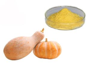 Quality Food Grade Fruit Concentrate Pumpkin Vegetable Extract Powder wholesale