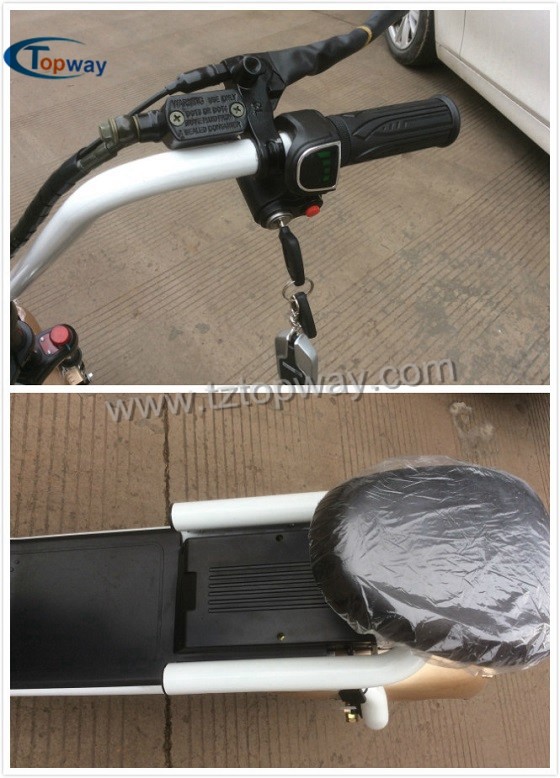 Popular Halley Electric Scooter 1000W 60V Fat Tyre Citycoco