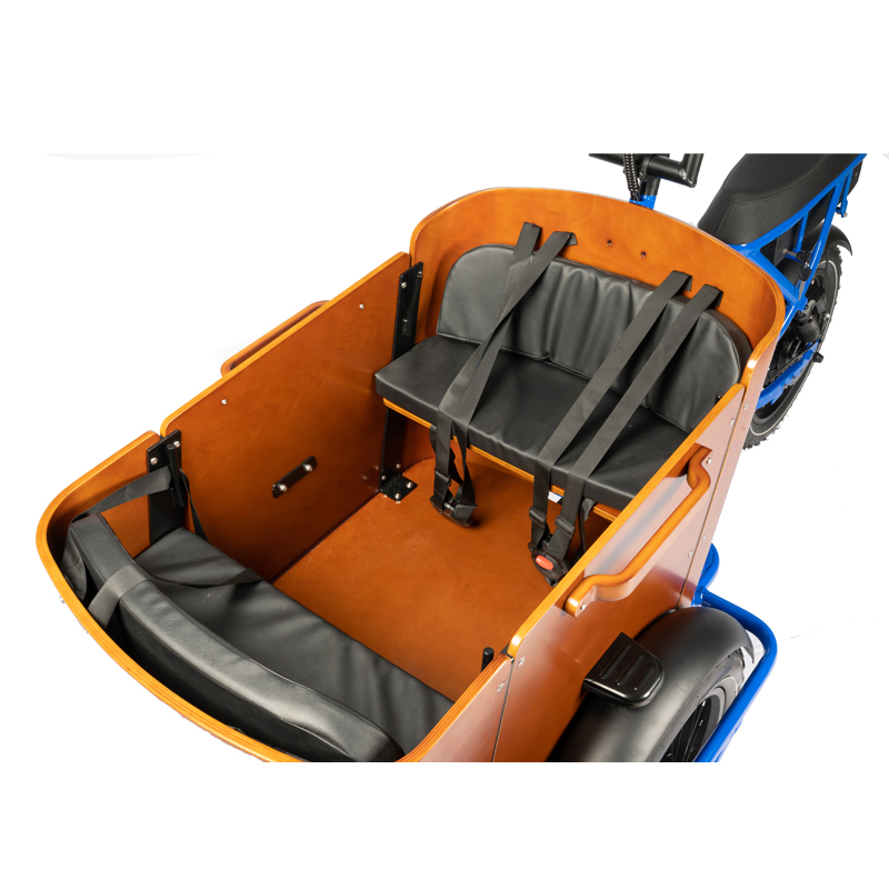 NO Foldable Three Wheel Cargo Tricycle E-bike for Family and Food Delivery Customizable