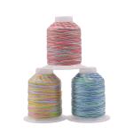 Embroidery Sewing Thread 100% Polyester with High Temperature Resistance in 5