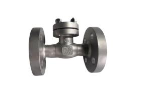 Quality Flange Cryogenic Check Valve For LNG LOX LIN LAR LCO2 Liquid Gases Tank wholesale