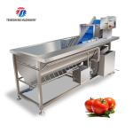 180KG 304 stainless steel eddy current vegetable washing machine Eddy current