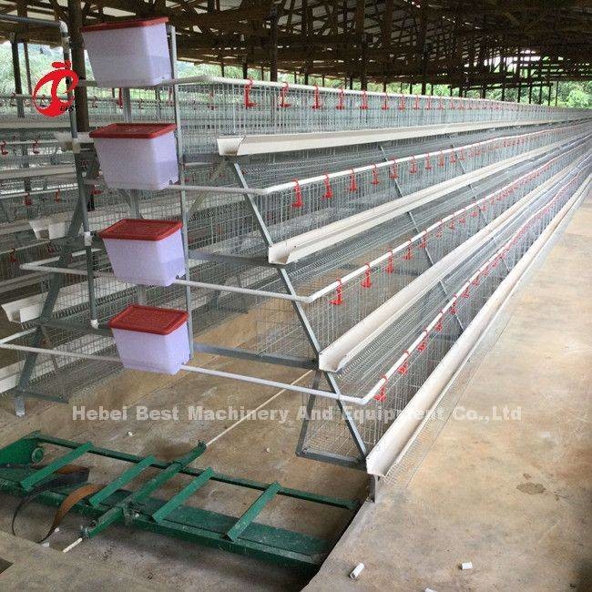 Layer Farming Use 2 Tier Battery Cage Poultry House Hot Dip Galvanized Sandy