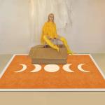 Crystal Velvet Fashion Bedroom Floor Carpets Large Dining Room Rugs OEM