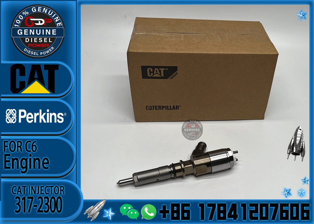 Common Rail C6 Diesel Engine Fuel Injector 317-2300 326-4700 295-9130 10R7675