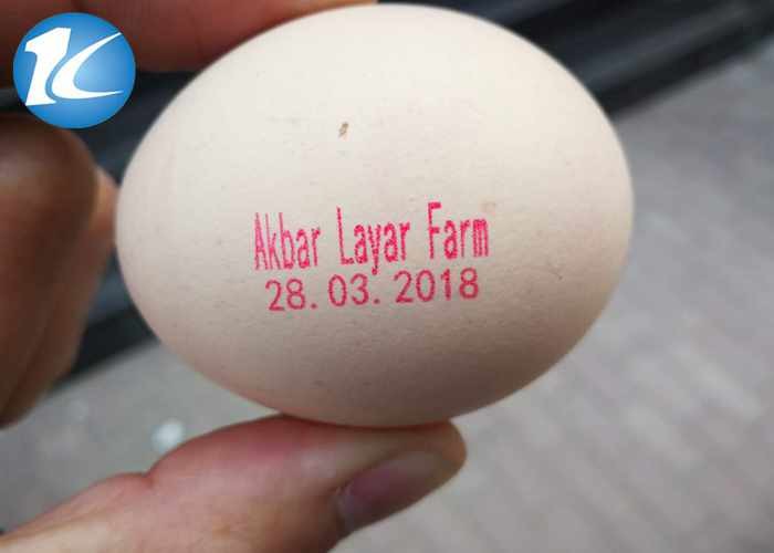 Number Logo Date Code Printing Machine / Egg Jet Printer Automatic Operation