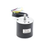 3000RPM Lightweight Brushless Dc Motor 4 Pole 24 Volt 11W 0.035nm 42BLY01C 002