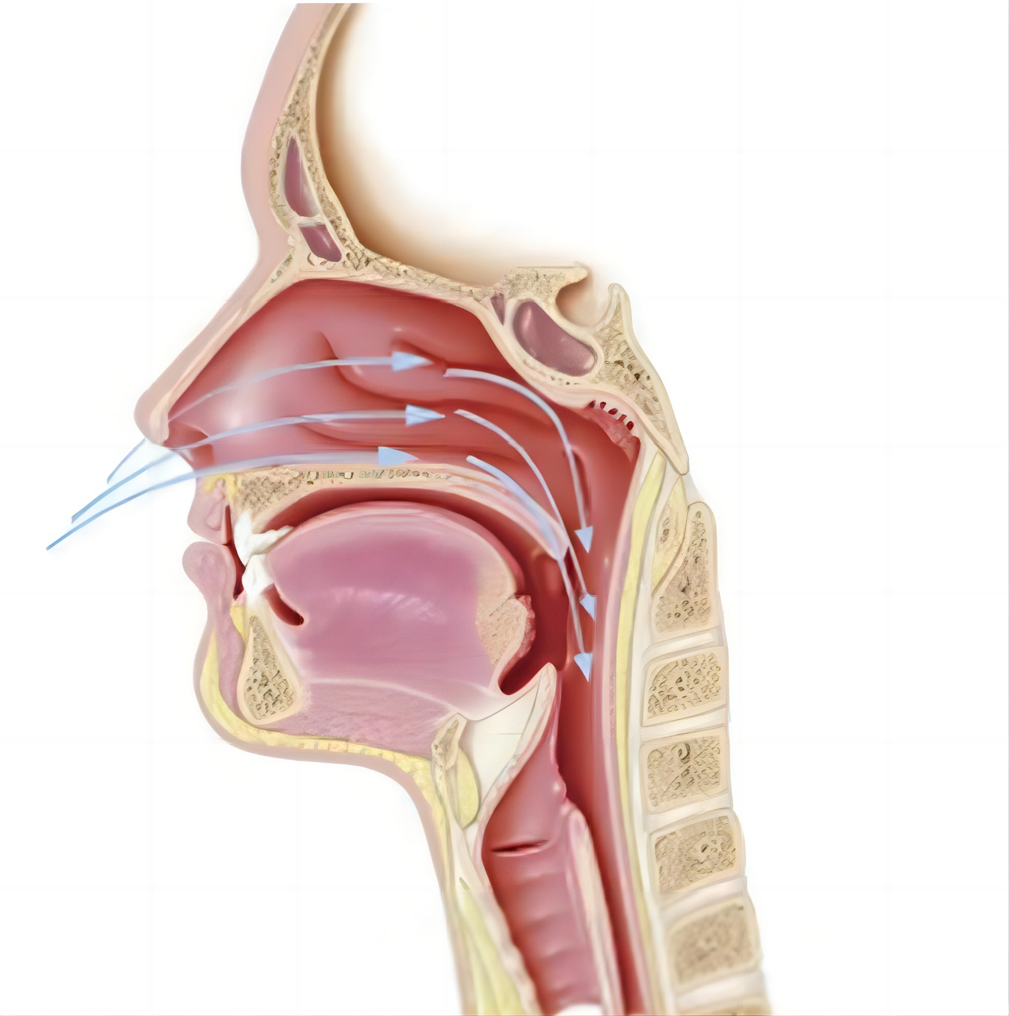 ENT RF Plasma Surgical System Cryogenic Surgical Device