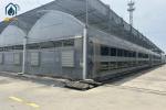 Organic Farming Multi Span Greenhouse Large Commercial Greenhouses