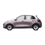 Wuling Bingo 50kw powerful mini car 200km 4 seater pink compact car