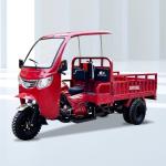 12V Voltage 3 Wheels Motorcycle Motorized Cargo Tricycle 10-20L