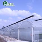 Multi-Span Agricultural Greenhouses with Used Container Hydroponic Growing
